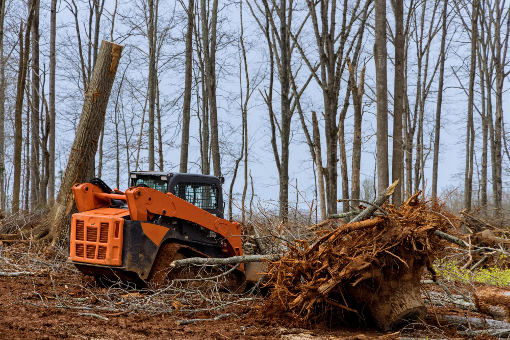 skid steer site